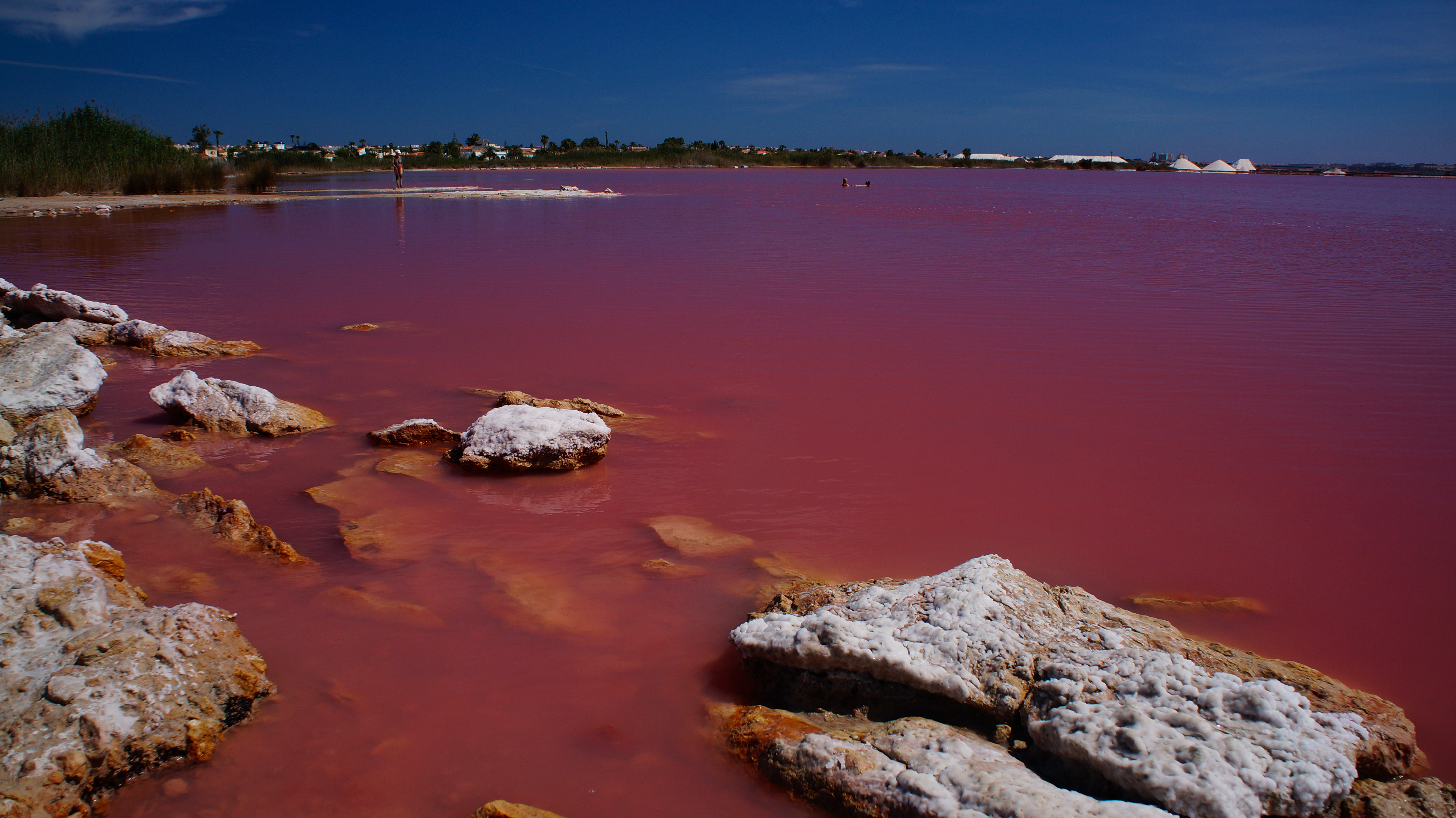 Esistono davvero i laghi rosa e grandi edifici a forma di cicala? Nella regione di Alicante sì!