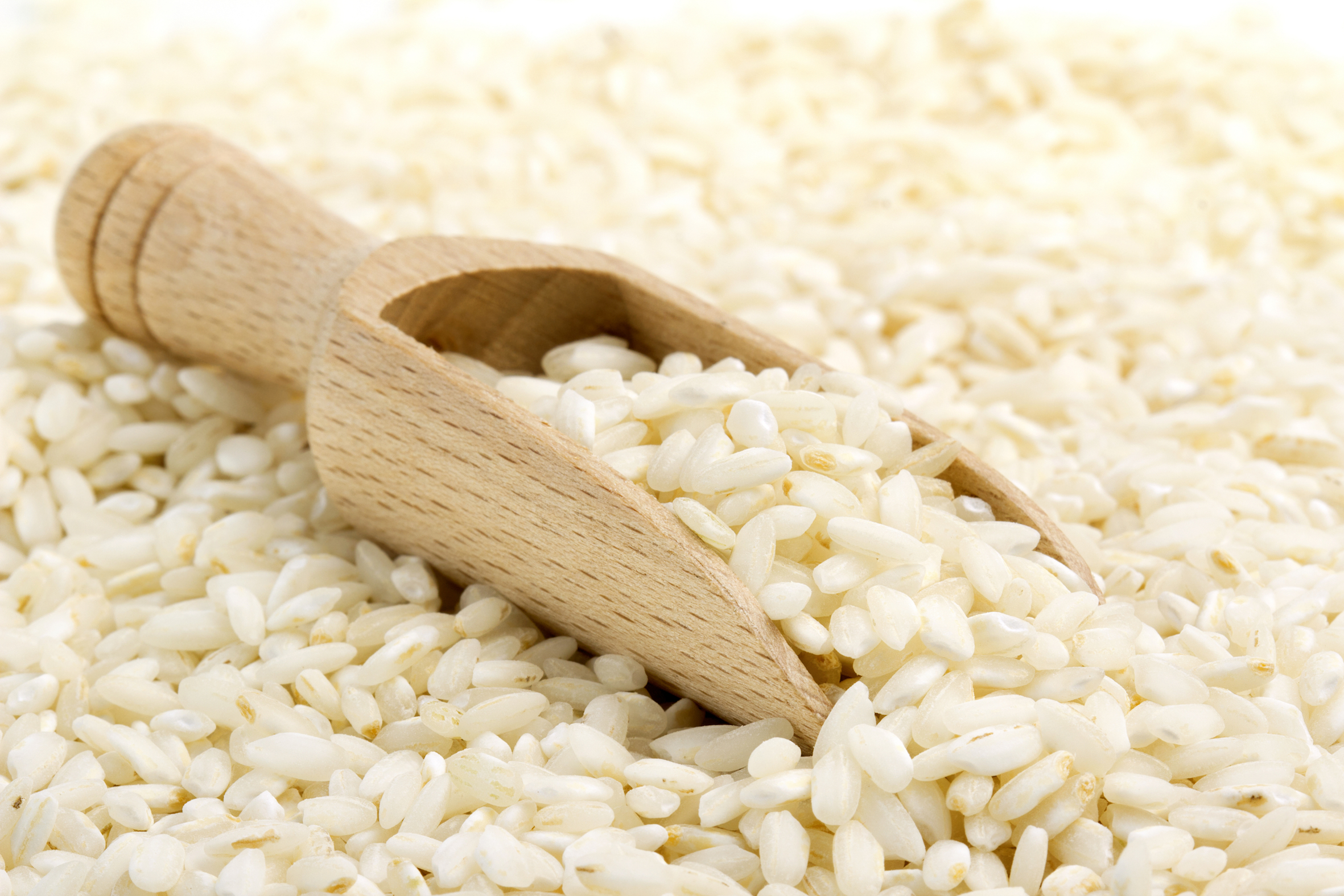 Rice 20. Всемирный день риса. Всемирный день риса 20 сентября. Всемирный день риса картинки. Рис для ризотто.